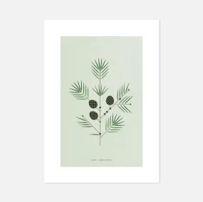 A4 Larch Print