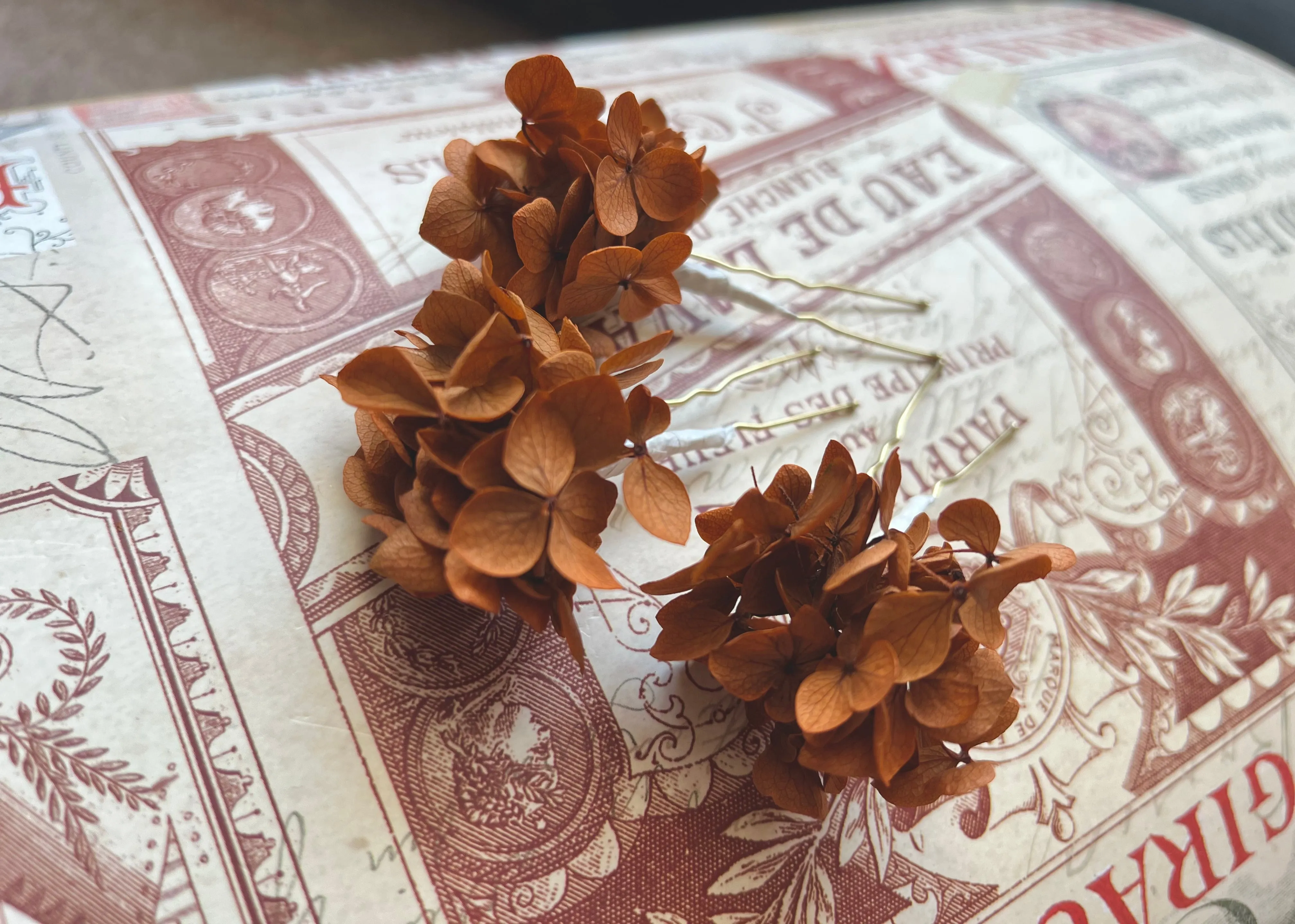 Terracotta Burnt Orange Dried Flower Hair Pins, Rustic Wedding Preserved Hydrangea Mini Head Piece, Boho Bridal Real Floral Hair Pins